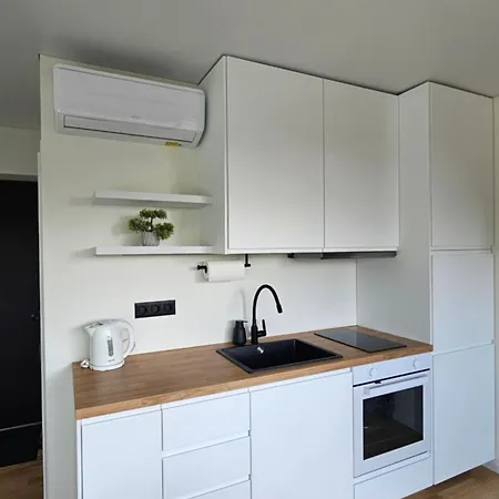 公寓 Palangos Apartamentai 帕兰加