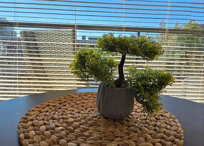 Palangos Apartamentai 公寓 *