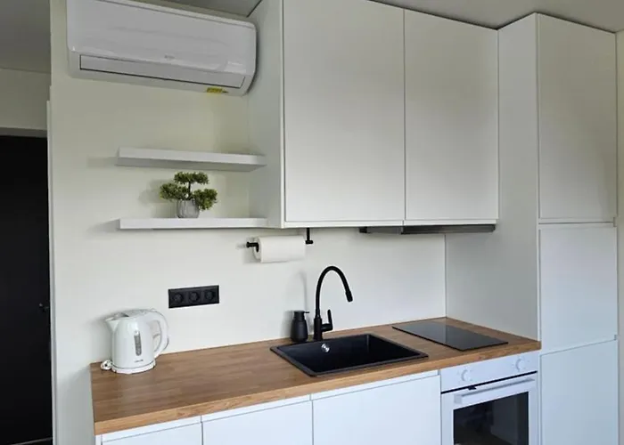 公寓 Palangos Apartamentai 帕兰加